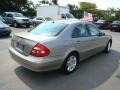 2006 Pewter Metallic Mercedes-Benz E 350 Sedan  photo #5