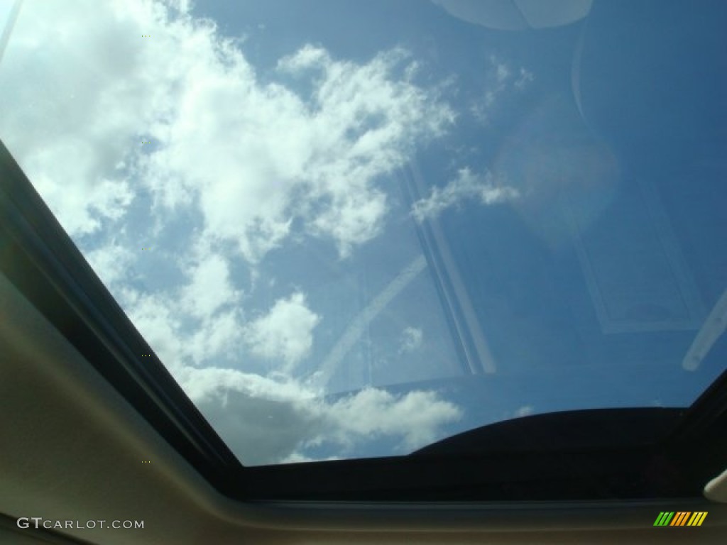 2009 Sienna XLE - Silver Pine Mica / Stone photo #23