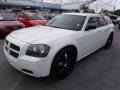 Stone White 2006 Dodge Magnum SE