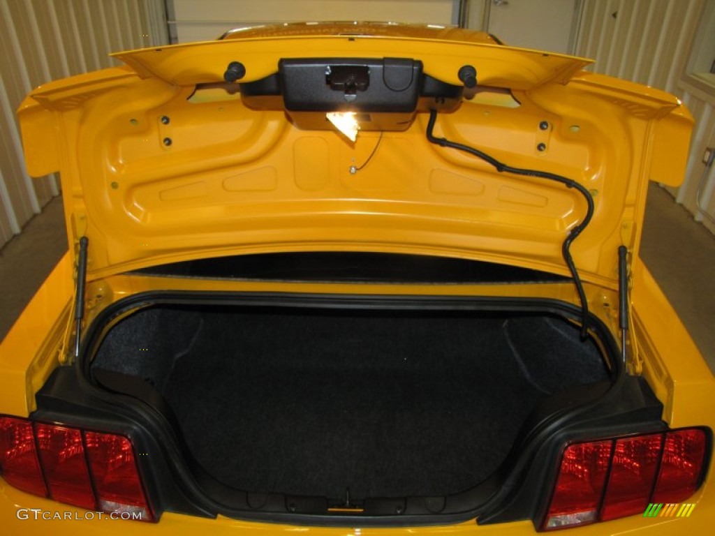 2008 Mustang V6 Premium Coupe - Grabber Orange / Dark Charcoal photo #11