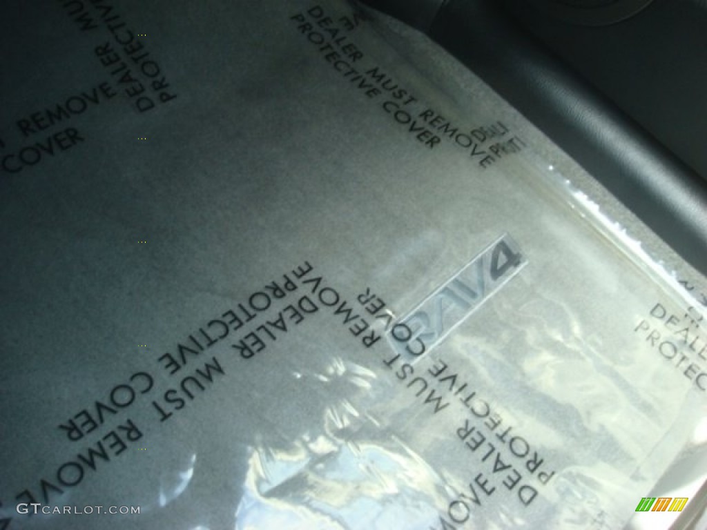 2010 RAV4 I4 - Classic Silver Metallic / Dark Charcoal photo #15