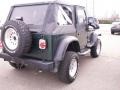 2001 Forest Green Jeep Wrangler SE 4x4  photo #3