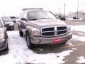 2005 Light Khaki Metallic Dodge Durango SLT 4x4  photo #2