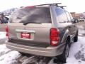 Light Khaki Metallic - Durango SLT 4x4 Photo No. 3