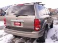 2005 Light Khaki Metallic Dodge Durango SLT 4x4  photo #3