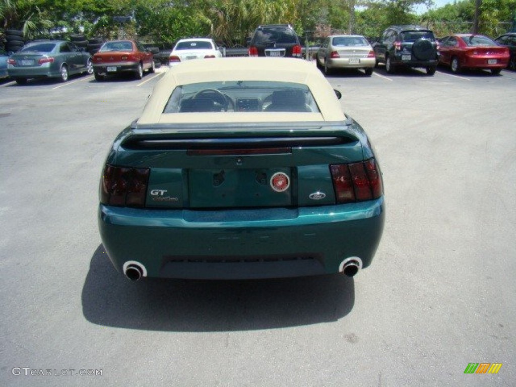 2000 Mustang V6 Convertible - Amazon Green Metallic / Medium Parchment photo #6