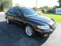 2006 Ebony Black Hyundai Azera Limited  photo #3