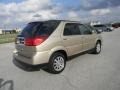 2006 Cashmere Metallic Buick Rendezvous CXL  photo #5