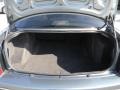 Magnesium Pearlcoat - 300 Touring Photo No. 10