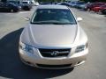 Golden Beige - Sonata GLS V6 Photo No. 2