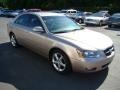 Golden Beige - Sonata GLS V6 Photo No. 3