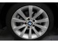 2009 Black Sapphire Metallic BMW 3 Series 328i Sedan  photo #10
