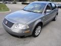 Stonehenge Grey Metallic - Passat GLS Sedan Photo No. 7