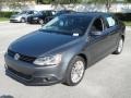 2012 Platinum Gray Metallic Volkswagen Jetta SEL Sedan  photo #7