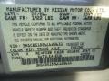 KV9: Radium Metallic 2006 Nissan Sentra 1.8 S Color Code