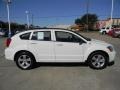 Stone White - Caliber SXT Photo No. 4