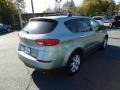 2006 Seacrest Green Metallic Subaru B9 Tribeca Limited 7 Passenger  photo #7