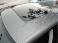 United Gray Metallic - Golf 4 Door TDI Photo No. 9