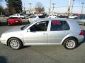 Reflex Silver - Golf GLS 4 Door Photo No. 10