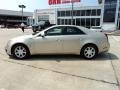 Gold Mist - CTS Sedan Photo No. 3