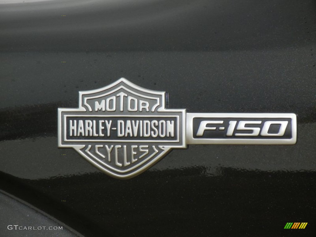 2011 F150 Harley-Davidson SuperCrew - Tuxedo Black Metallic / Black/Silver Smoke photo #6