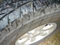 Desert Sand Mica - Tacoma PreRunner Double Cab Photo No. 24