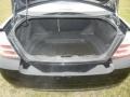Black Clearcoat - Taurus SEL Photo No. 4