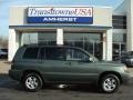 Oasis Green Pearl - Highlander 4WD Photo No. 5