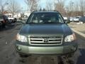 Oasis Green Pearl - Highlander 4WD Photo No. 20