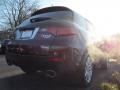 Basque Red Pearl - RDX SH-AWD Photo No. 8
