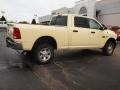 2010 Light Cream Dodge Ram 2500 Big Horn Edition Crew Cab 4x4  photo #3