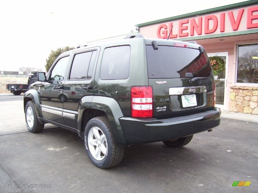 2010 Liberty Limited 4x4 - Natural Green Pearl / Pastel Pebble Beige photo #6