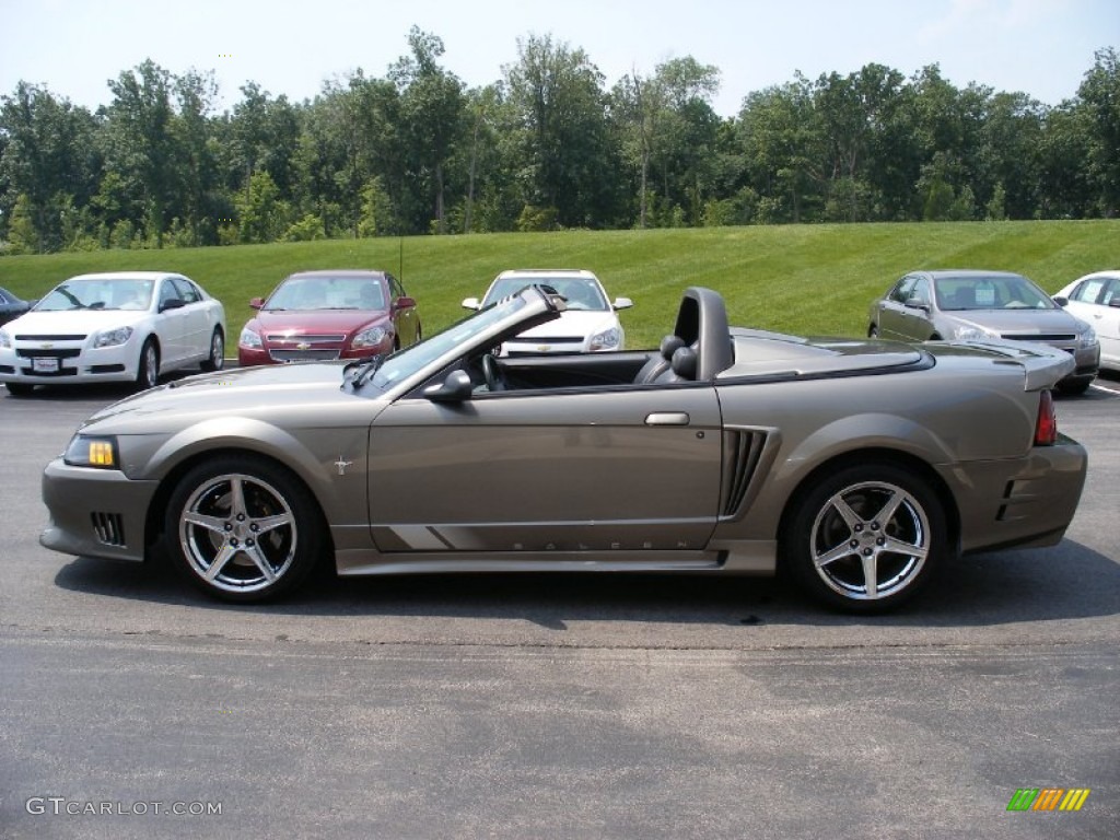 2001 Mustang Saleen S281 Supercharged Convertible - Mineral Grey Metallic / Dark Charcoal photo #1