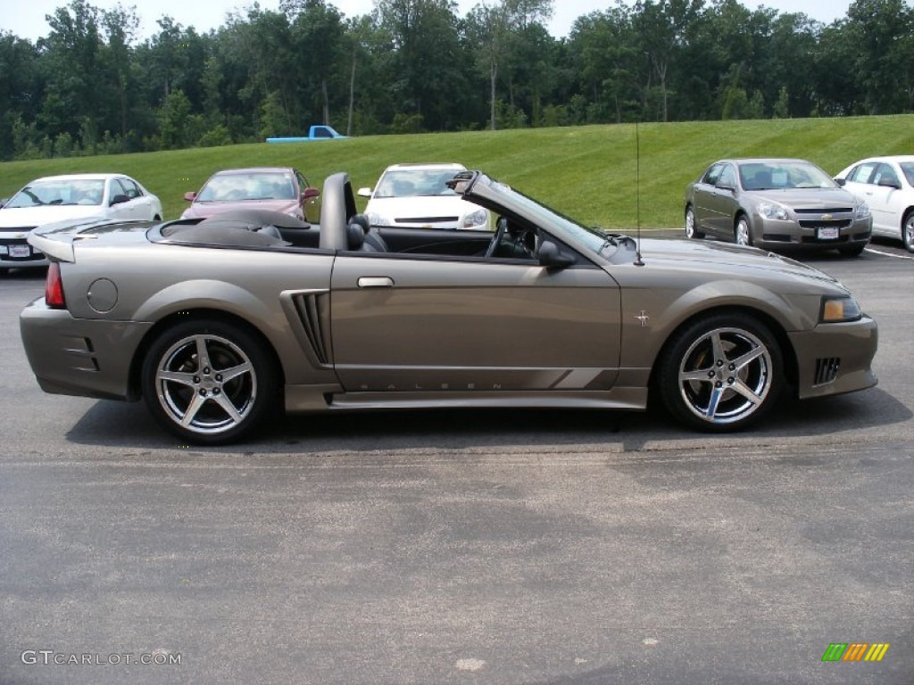 2001 Mustang Saleen S281 Supercharged Convertible - Mineral Grey Metallic / Dark Charcoal photo #2