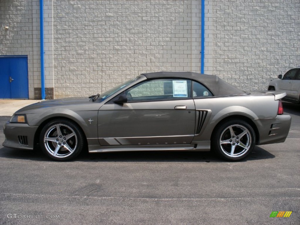 2001 Mustang Saleen S281 Supercharged Convertible - Mineral Grey Metallic / Dark Charcoal photo #4