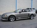 2001 Mineral Grey Metallic Ford Mustang Saleen S281 Supercharged Convertible  photo #6