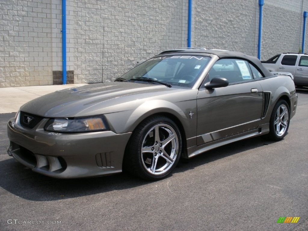 2001 Mustang Saleen S281 Supercharged Convertible - Mineral Grey Metallic / Dark Charcoal photo #8