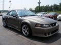 2001 Mineral Grey Metallic Ford Mustang Saleen S281 Supercharged Convertible  photo #9