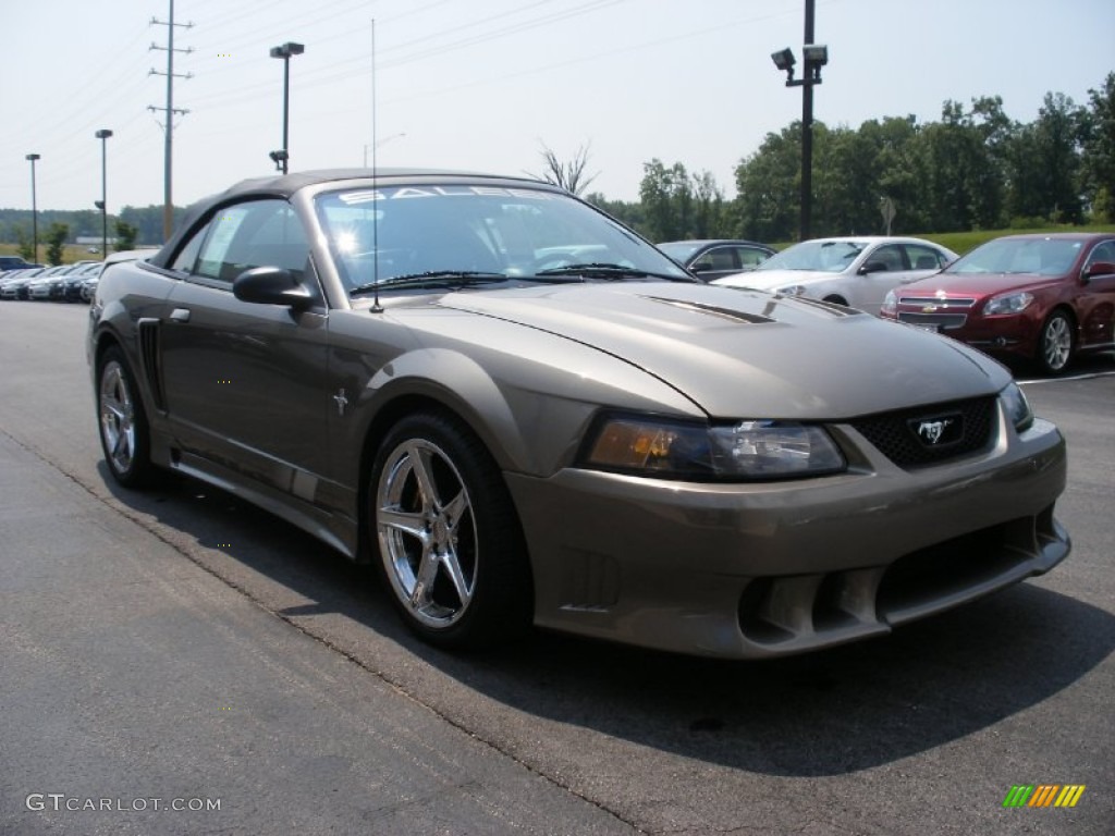 2001 Mustang Saleen S281 Supercharged Convertible - Mineral Grey Metallic / Dark Charcoal photo #10