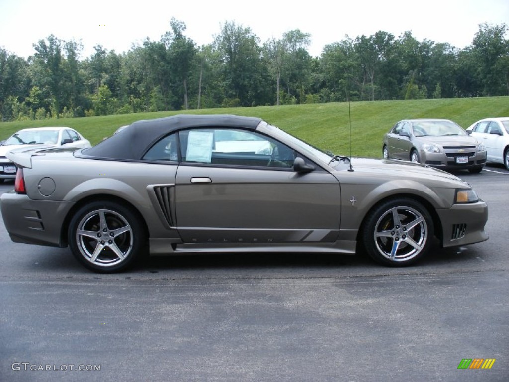 2001 Mustang Saleen S281 Supercharged Convertible - Mineral Grey Metallic / Dark Charcoal photo #14