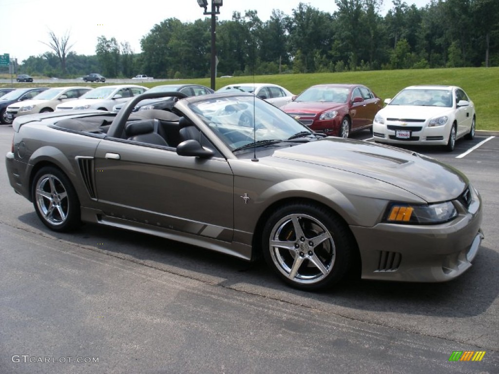 2001 Mustang Saleen S281 Supercharged Convertible - Mineral Grey Metallic / Dark Charcoal photo #16