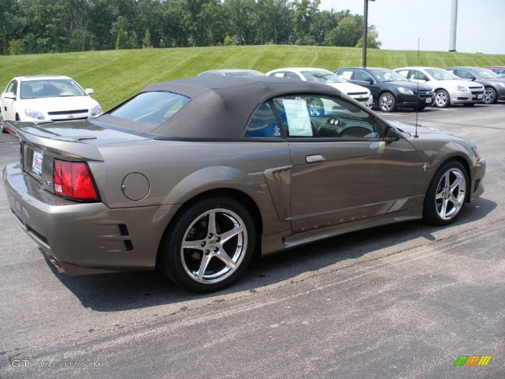 2001 Mustang Saleen S281 Supercharged Convertible - Mineral Grey Metallic / Dark Charcoal photo #23