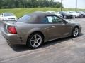 2001 Mineral Grey Metallic Ford Mustang Saleen S281 Supercharged Convertible  photo #23