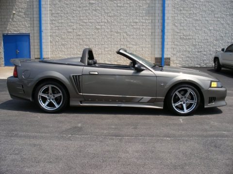 2001 Ford Mustang Saleen S281 Supercharged Convertible Data, Info and Specs