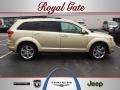 White Gold - Journey SXT Photo No. 1