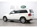 Arctic White - GL 450 4Matic Photo No. 5