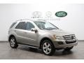 Pewter Metallic - ML 350 4Matic Photo No. 1