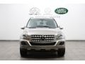 Pewter Metallic - ML 350 4Matic Photo No. 3