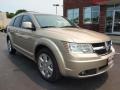 2009 Light Sandstone Metallic Dodge Journey R/T  photo #2