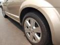 2009 Light Sandstone Metallic Dodge Journey R/T  photo #4